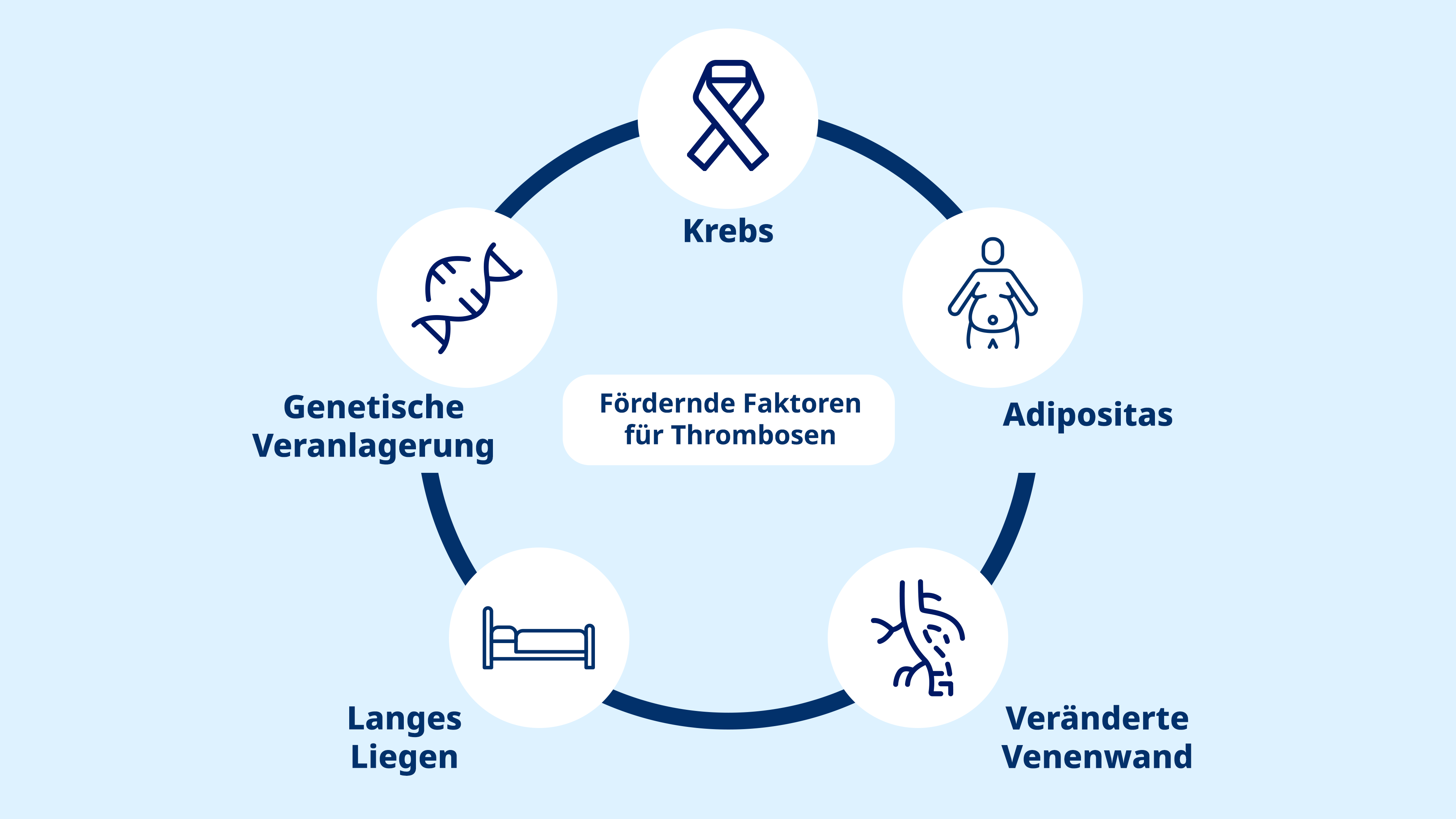 Medizinische Darstellung von normalem Herzschlag vs. Vorhofflimmern bei Übergewicht.