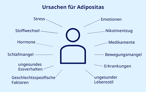 Überblick der Adipositas Ursachen