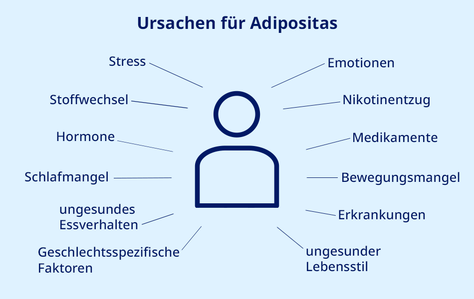 Verschiedene Adipositas-Ursachen.