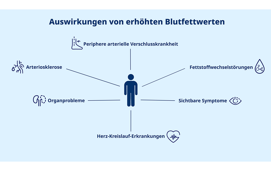 Erhöhte Blutfettwerte-Folgeerkrankungen im Überblick