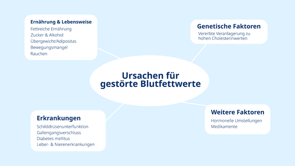 Ursachen für gestörte Blutfettwerte