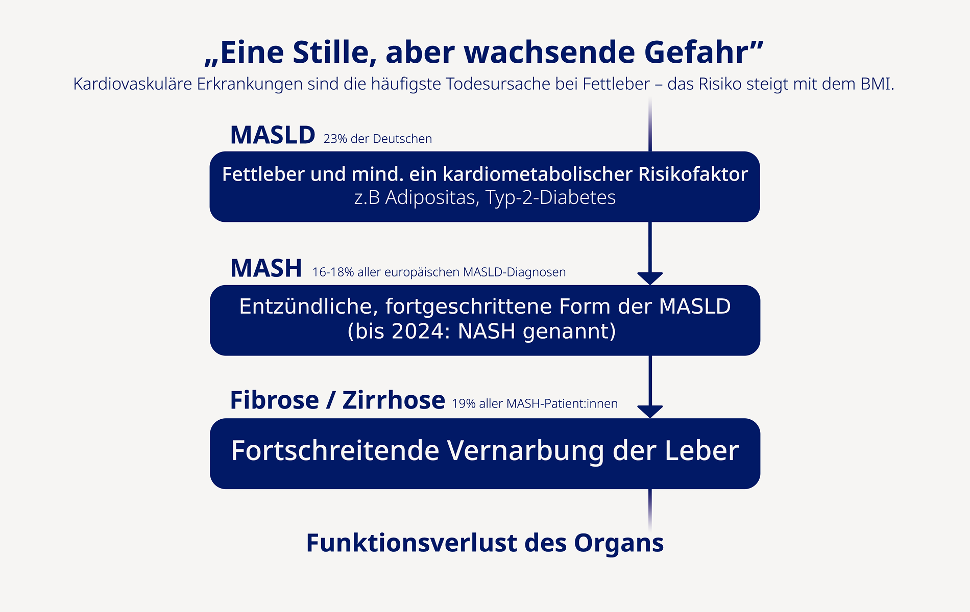 Schaubild zum Verlauf der MASH-Leber von der Fettleber (MASLD) über Entzündung bis zur Vernarbung der Leber.