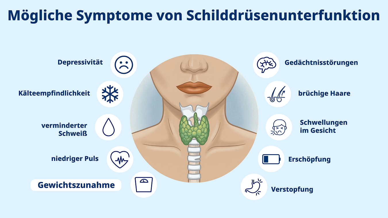 Symptome bei Schilddrüsenfunktion wie Gewichtsveränderungen.
