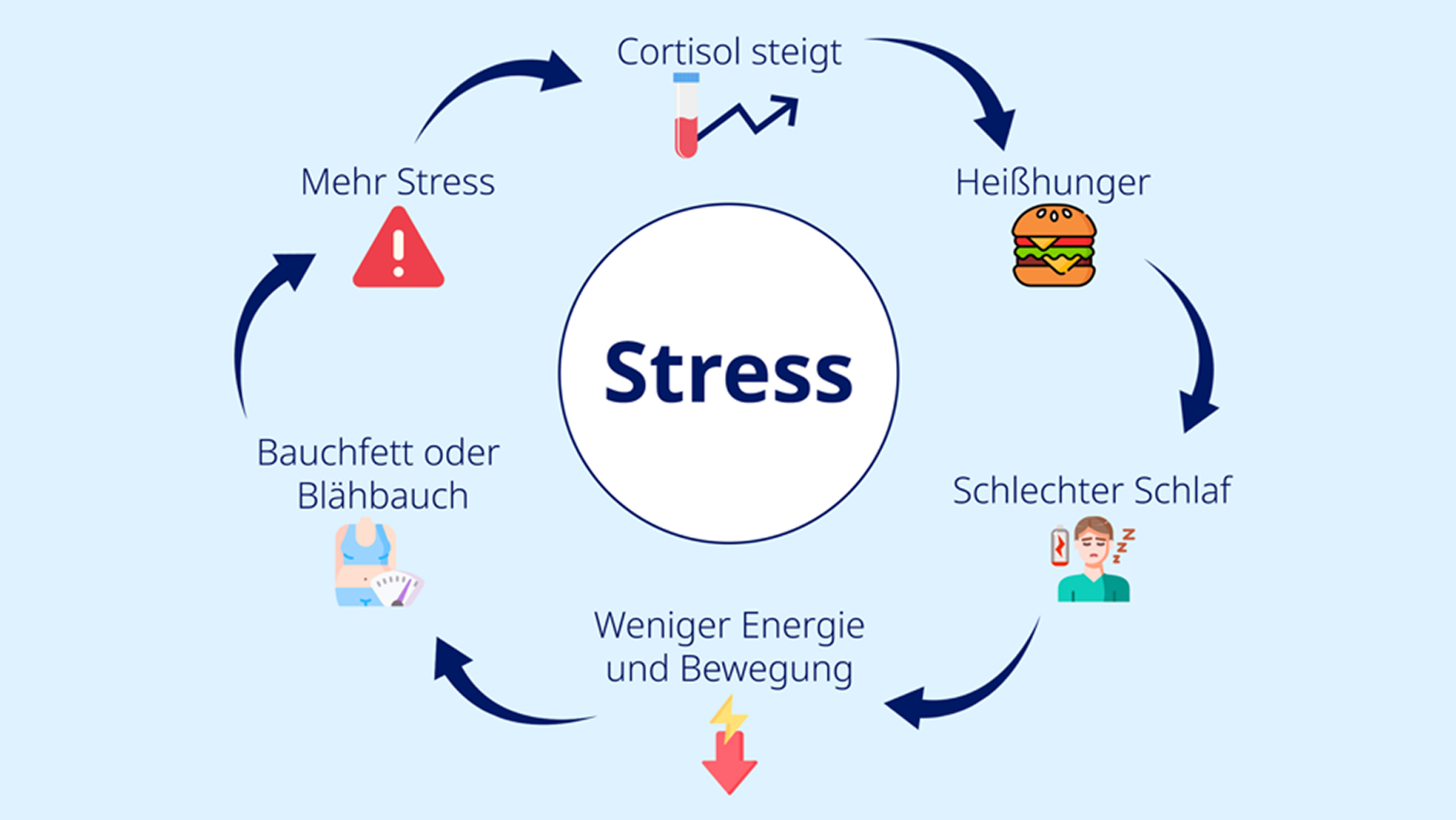 Der Stressbauch-Kreislauf im Blick.