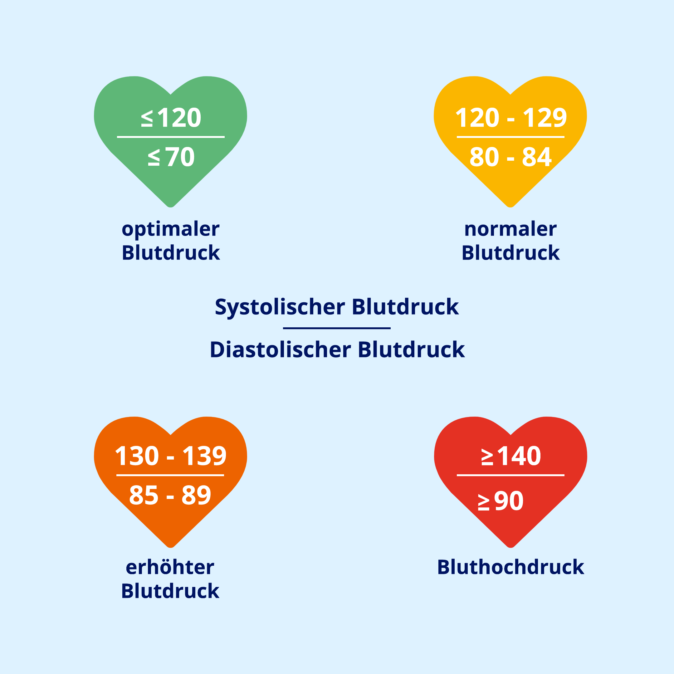 Übergewicht und Bluthochdruck: Systolischer und diastolischer Blutdruck im Blick. 